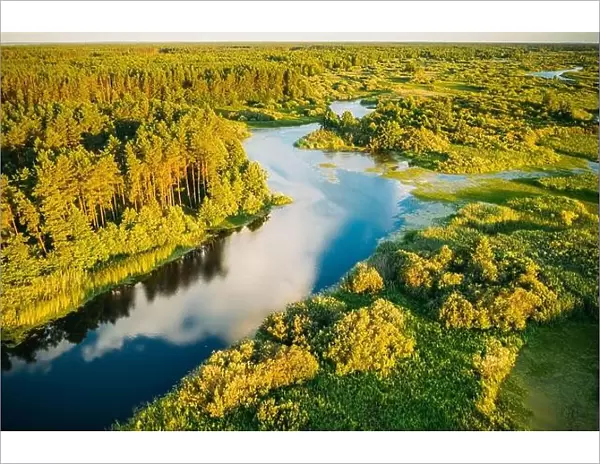 Aerial Elevated View Of Green Forest Growth On River Coast Landscape In Sunny Summer Evening