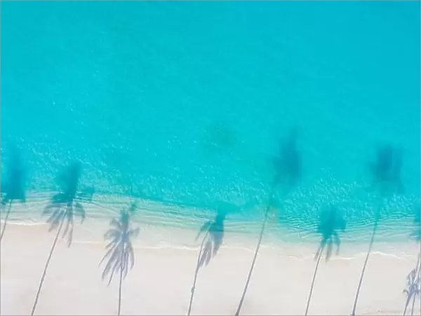 Aerial paradise scenery. Tropical aerial landscape, seascape with palm leaves shadows amazing sea and lagoon beach, tropical nature. Exotic tourism