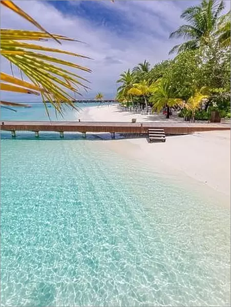 Wooden pier bridge at tropical beach in the Maldives. Palm tree leaves with amazing sea lagoon. Idyllic nature view