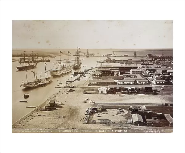 A souvenir of Odoardo Beccari's journeys: the arrival of the Prince of Wales in Port Said