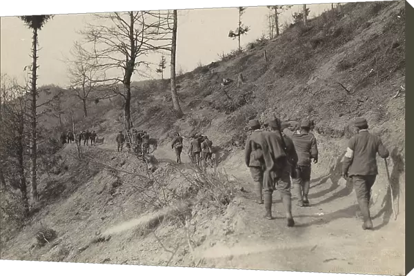 World War I: Transport of wounded soldiers from the front line of trinceee in Saint Lucia