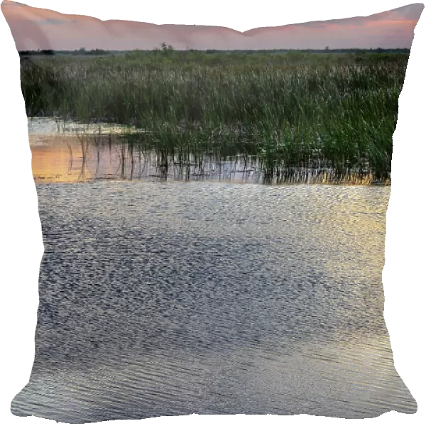 Arthur R. Marshall Loxahatchee National Wildlife Refuge with alligator at sunset