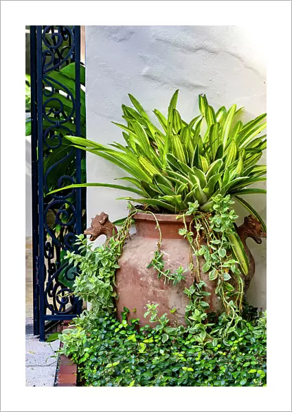 Decorative potted plant