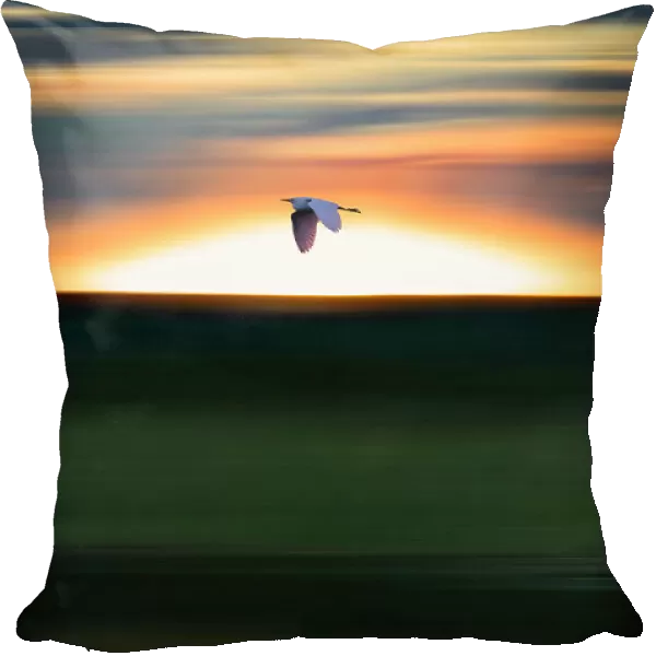 Abstract of bird flying at sunset