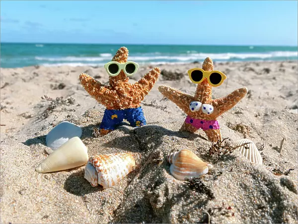 Starfish couple vacationing in Florida