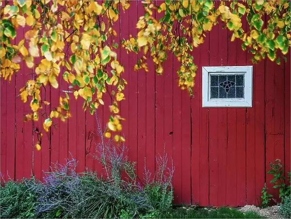 New York, Long Island, close up of red barn and window