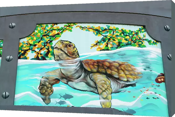 Florida, Palm Beach County, Sea Turtle