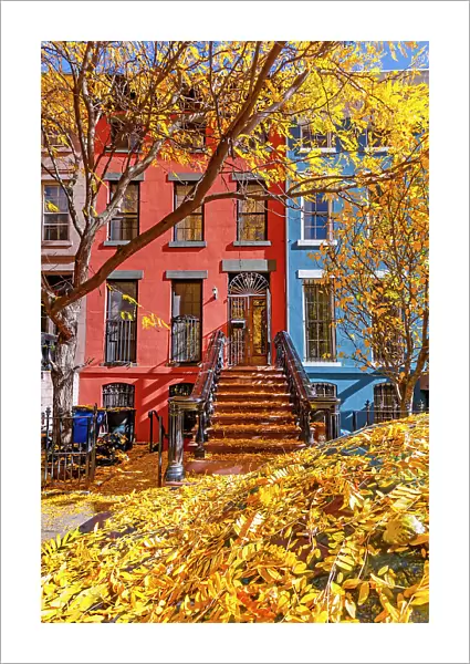 New York City, Brooklyn, Fort Greene, brownstones, exterior, fall