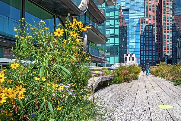 New York City, Manhattan, High Line Elevated Park and Zaha Hadid Building