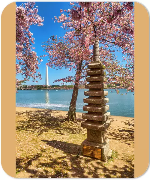 Washington, D.C. Japanese Pagoda and Washington Monument During Springtime