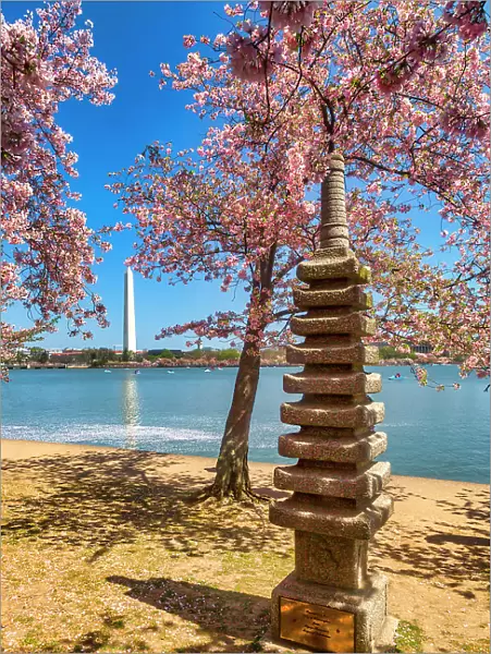 Washington, D.C. Japanese Pagoda and Washington Monument During Springtime