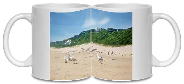 New York, Long Island, Montauk, beach, seagulls