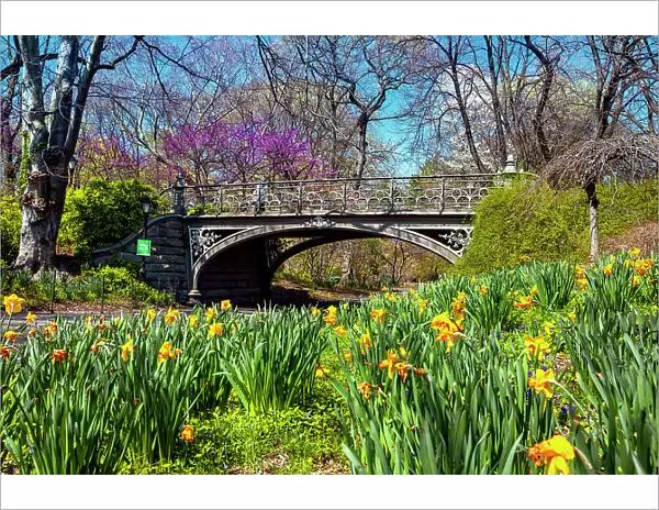 New York City, Manhattan, Springtime Scene at Central Park