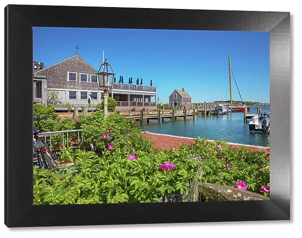Massachusetts, Martha's Vineyard, Edgartown, Waterfront scene