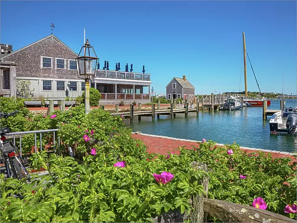 Massachusetts, Martha's Vineyard, Edgartown, Waterfront scene