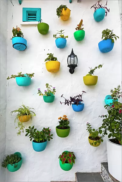 Colombia, Colorful Plant Pots on a wall in La Aldea (Colombian Santorini)
