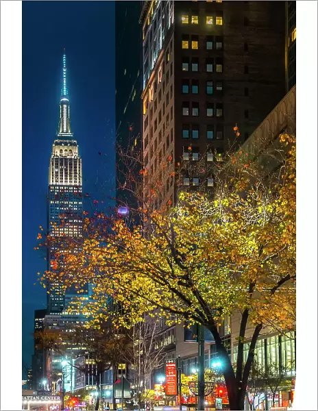 New York City, Manhattan, Empire State Building at night