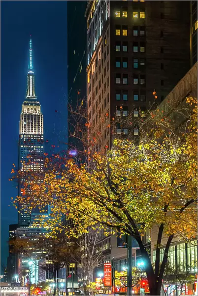 New York City, Manhattan, Empire State Building at night