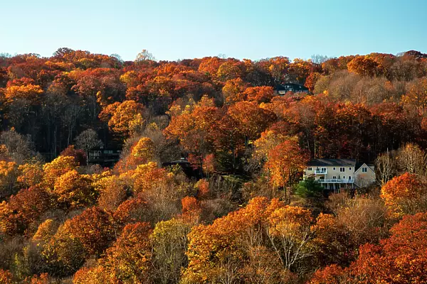 NY, Westchester, Croton on Hudson, autumn