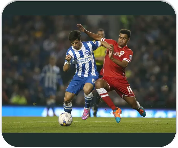 Brighton & Hove Albion vs. Cardiff City: 30 September 2014 (Cardiff City 30SEP14)