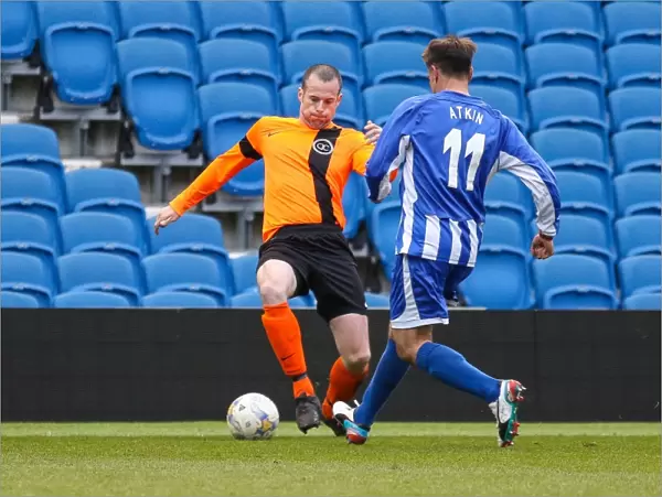 Brighton & Hove Albion: Play on the Pitch - 1st May 2015, American Express Community Stadium