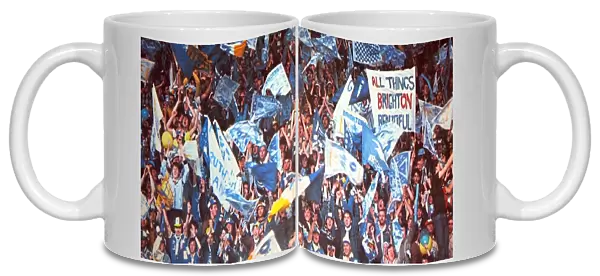 Brighton & Hove Albion's Historic FA Cup Victory (1983)