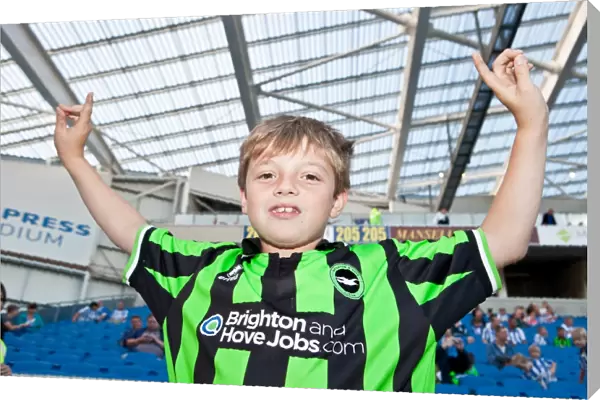 Electric Atmosphere: Brighton & Hove Albion FC Crowd Shots (2012-2013) - The Amex Stadium