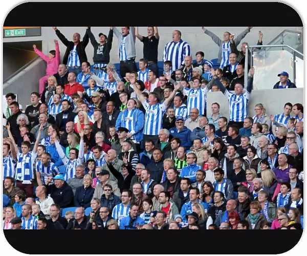 Brighton & Hove Albion vs Birmingham City: A Thrilling 2012-13 Home Match