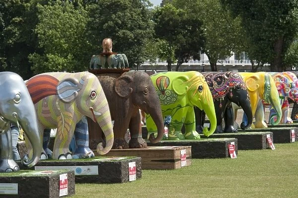 Elephant Parade DP094995