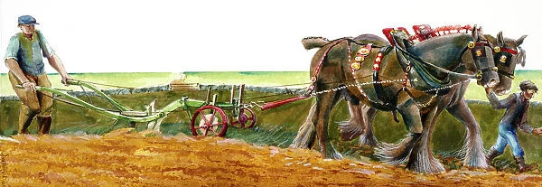Ploughing J910039. Reconstruction drawing of ploughing in Victorian times by Judith Dobie
