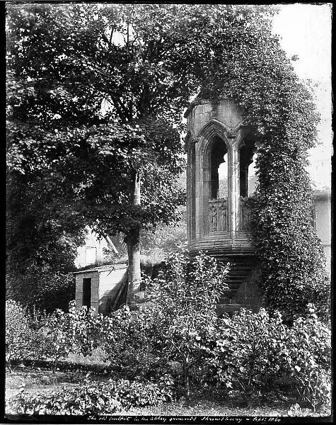 Pulpit DD73_00146. Shrewsbury Abbey, Shrewsbury, Shropshire, 1860