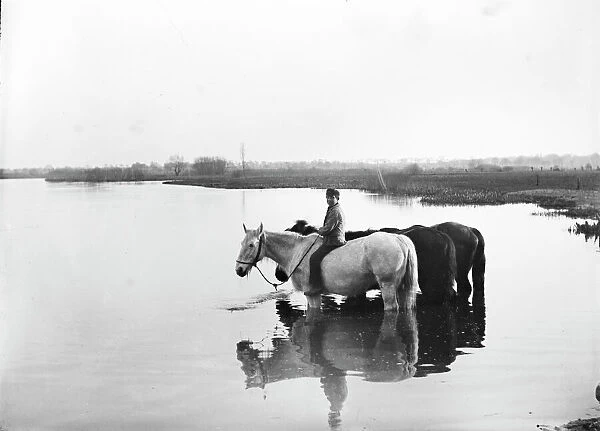 Taking horses to water BB026108