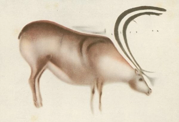 Altamira Deer Painting