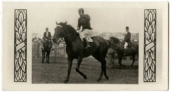 Bacchus, Australian race horse