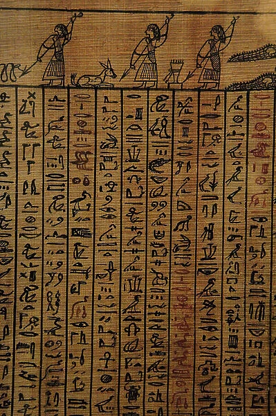 Book of the Dead. Fragment. Egypt