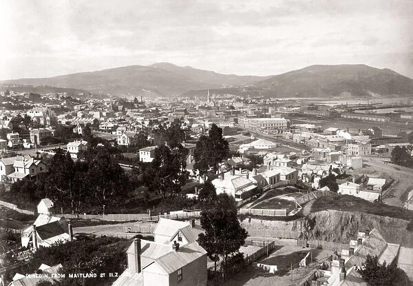 c. 1890 New Zealand - view of Dunedin from Maitland Street