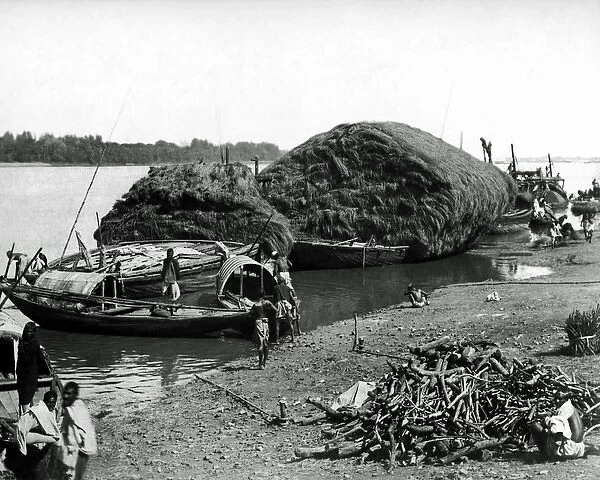 Cargo boats of the Hooghly River, Calcutta, India
