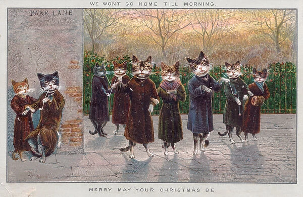 Cats enjoying an evening out on a Christmas card