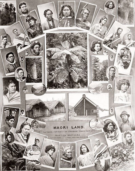 Composite of Maori images by Burton Bros photographers in Dunedin New Zealand c. 1890