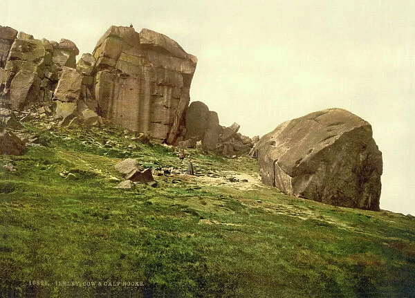 Cow and Calf Rocks, Ilkley, England