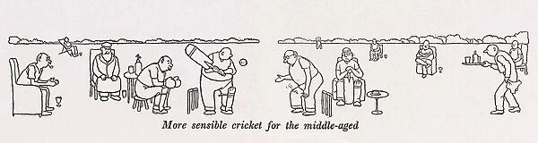 Cricket for the middle-aged  /  W H Robinson