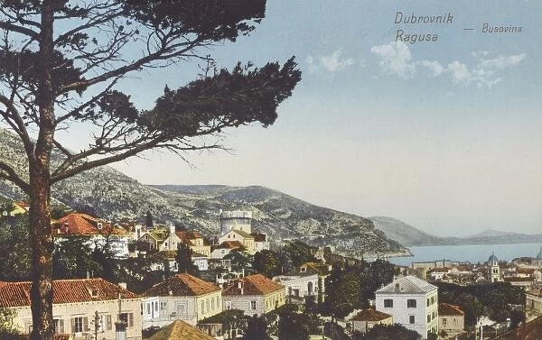 Croatia - Dubrovnik - Busovina district