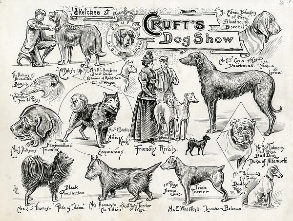 Crufts Dog Show - dogs and owners