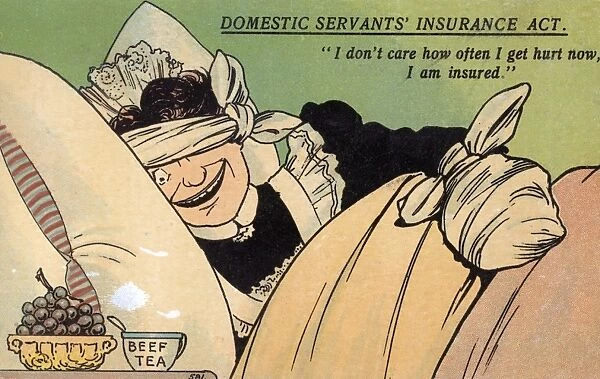 Domestic Servants Insurance Act - Comic Postcard