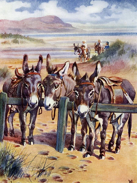 Donkeys - Donkeys on the beach tethered to a rail waiting to be ridden. Date: circa 1920