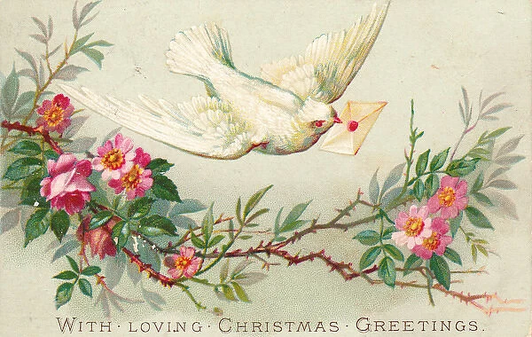 Dove and pink flowers on a Christmas card