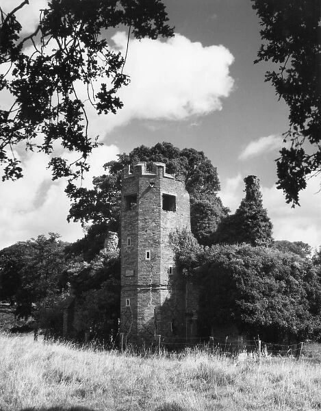 Dower House Tower
