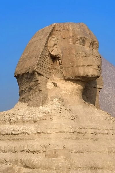 Egypt. Spinx of Giza
