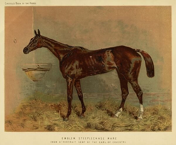 Emblem (Racehorse)