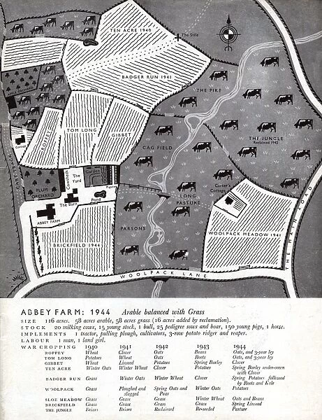 Farming pre-war in 1944 - layout of fields and crops (2  /  2)
